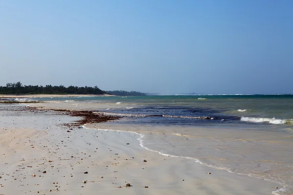 Playa vacía de Dania en Kenia —  Fotos de Stock