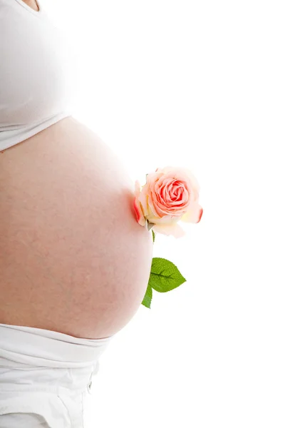 Barriga grávida com rosa — Fotografia de Stock