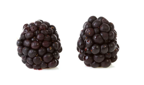 Macro of two blackberries — Stock Photo, Image