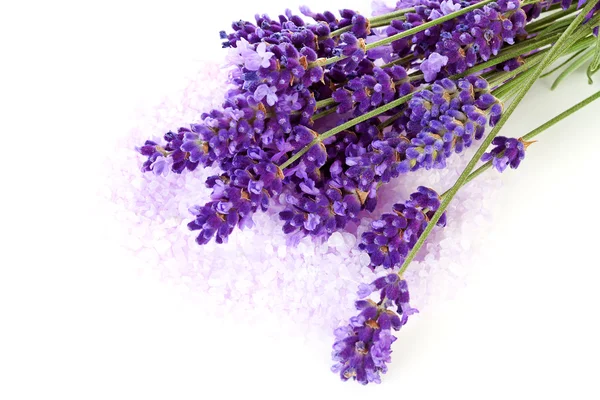 Lavender flowers and pink bath salts — Stock Photo, Image