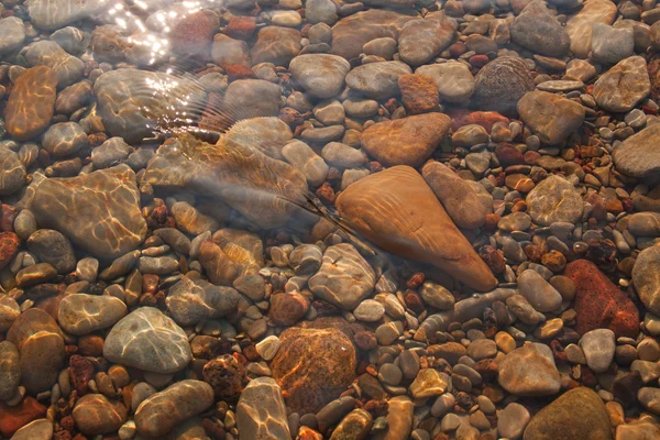 Guijarros con piedras están en el agua de mar clara — Foto de Stock