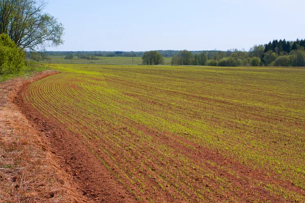 Landskab udsigt over landbrugsjord - Stock-foto