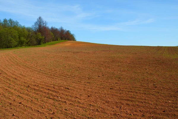 Пейзаж вид на сельхозугодия весной — стоковое фото
