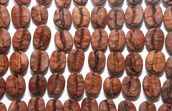 Boabe de cafea brună — Fotografie, imagine de stoc