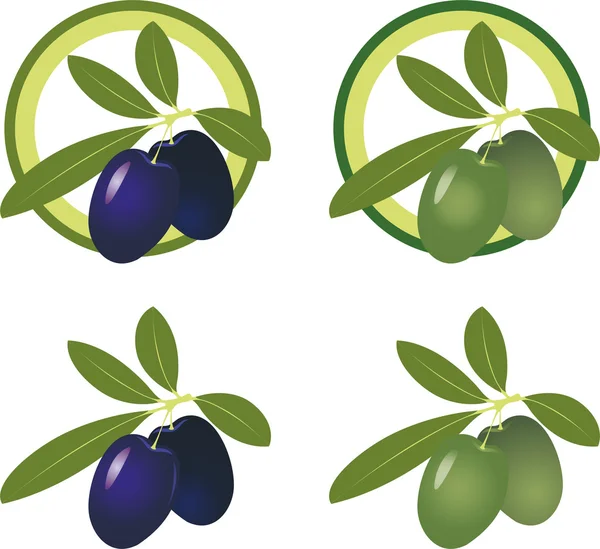 Зеленые и черные оливки. Векторный набор иконок — стоковый вектор