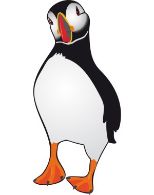 Atlantic Puffin (Fratercula arctica) clipart