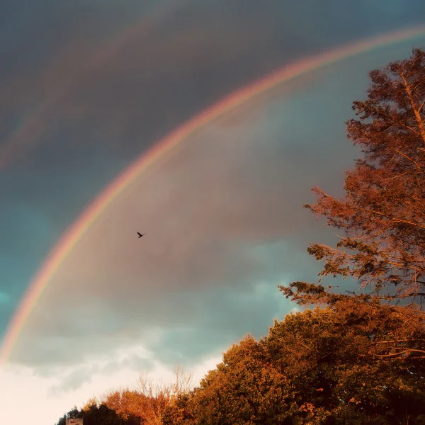 Çift gökkuşağı sonbahar gökyüzü — Stok fotoğraf