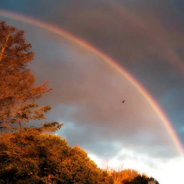 En dubbel regnbåge på hösten himlen — Stockfoto