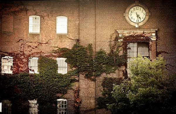 Staré cihlové budovy s břečťanem a hodiny — Stock fotografie