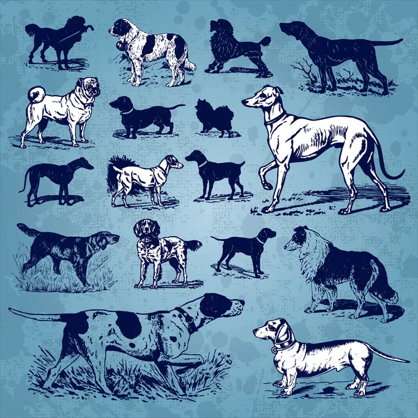 Dogs vintage set (vector) — Stock Vector