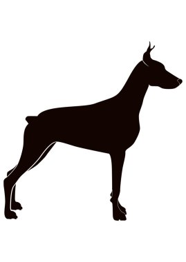 Doberman clipart