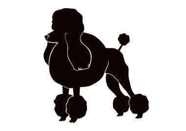 Poodle clipart