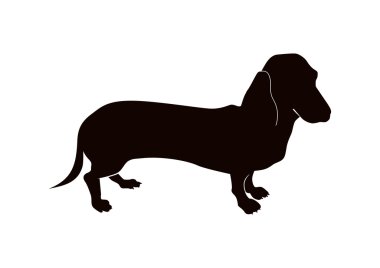 Dachshund clipart