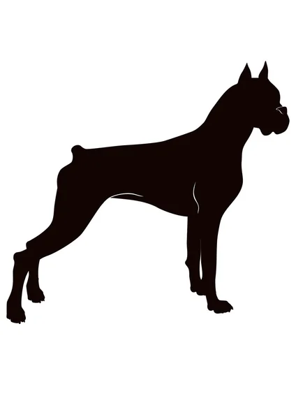 Hundesilhouette — Stockvektor