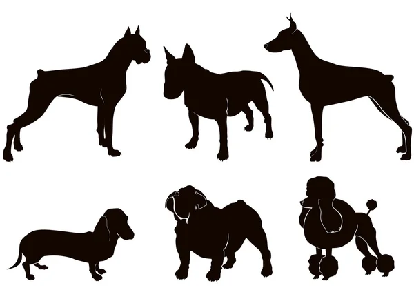 Silhouette per cani — Vettoriale Stock