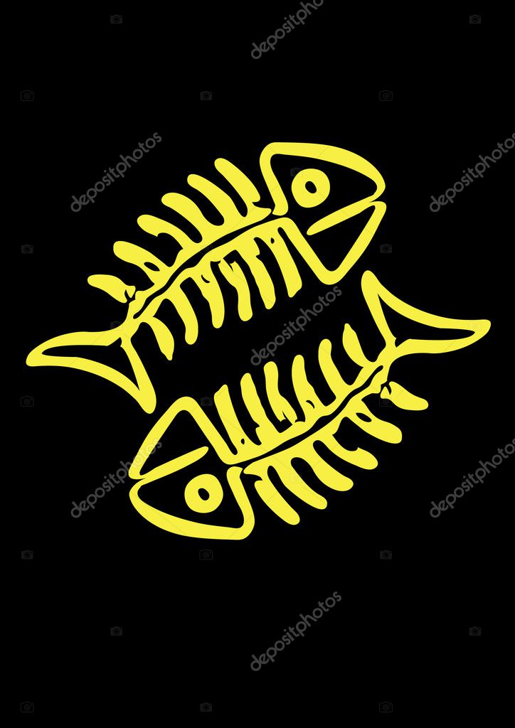 Fish skeleton
