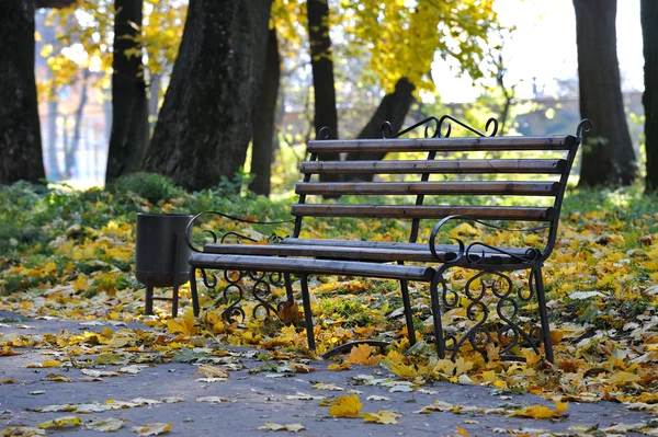Parque municipal de otoño — Foto de Stock