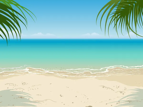 Playa tropical — Vector de stock