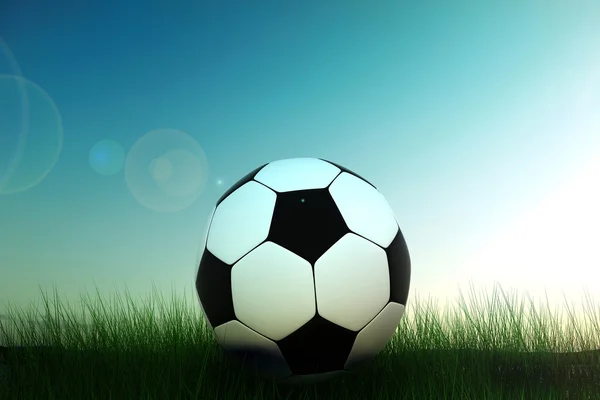 Pallone da calcio in erba — Foto Stock