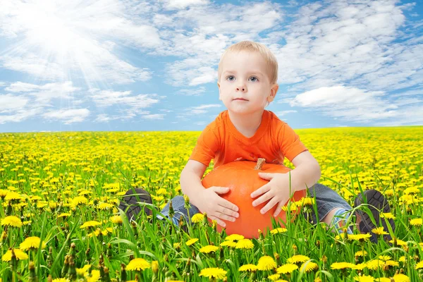 Niño en campo de flores de diente de león, sosteniendo la calabaza —  Fotos de Stock