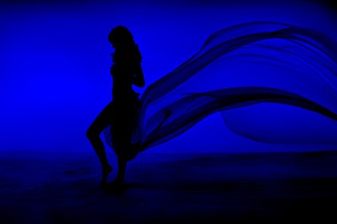 çıplak seksi bir kadın silueti kal mavi deniz ve gökyüzü arka plan