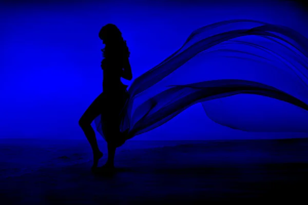 裸体性感女人剪影呆在蓝色的大海和天空背景 — 图库照片