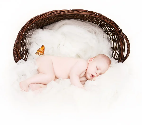 Bebê dormindo dentro da cesta de vime. Borboleta laranja sentado — Fotografia de Stock