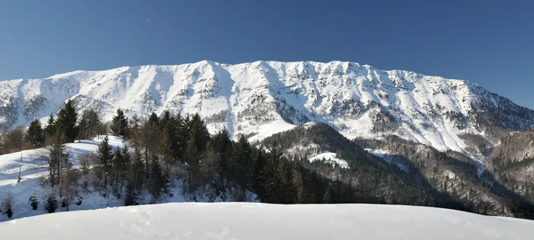 Снежная гора зимой — стоковое фото