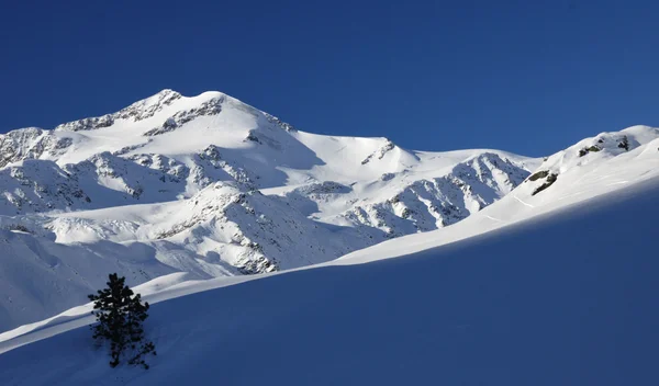 Winter landscape in high Val Martello — Stockfoto