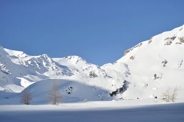 Winter landscape in high Val Martello — Stock Photo, Image