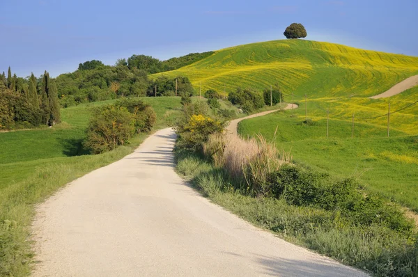 Wzgórze wiejski w Toskanii — Zdjęcie stockowe