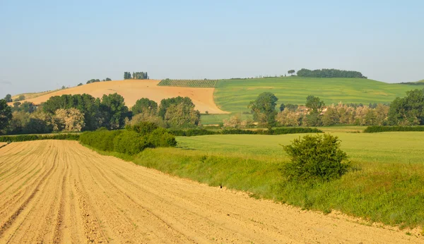 Heuvel platteland in Toscane — Stockfoto