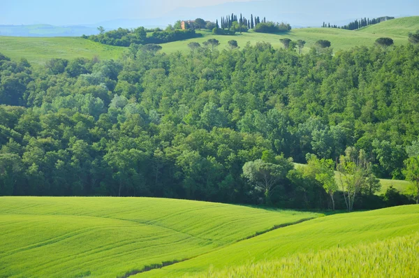 Campo montanhoso na Toscana — Fotografia de Stock