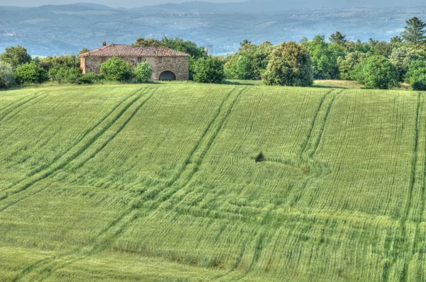 Холмистая местность Тосканы — стоковое фото