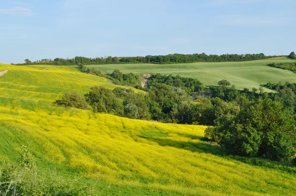 Heuvel platteland in de crete senesi regio, Toscane — Stockfoto