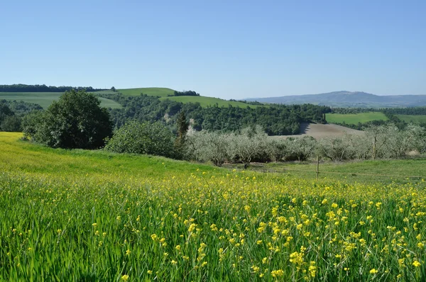 Wzgórzu wsi w regionie crete senesi, Toskania — Zdjęcie stockowe