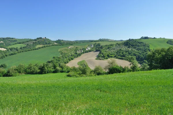 Hill countryside in the Crete Senesi region, Tuscany — Stock Photo, Image