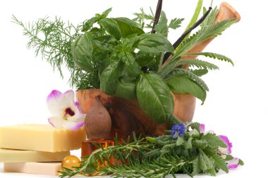 Herbal Therapy clipart