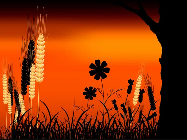 夕日と小麦 — ストックベクタ