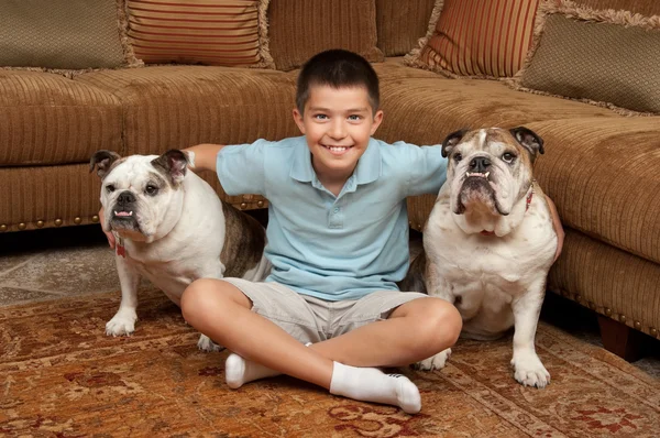 Мальчик и собаки — стоковое фото