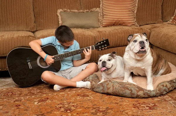 Собаки и музыка — стоковое фото