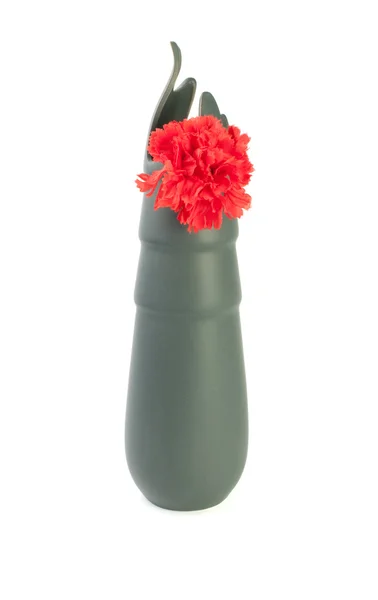 Красная гвоздика в вазе изолирована — стоковое фото