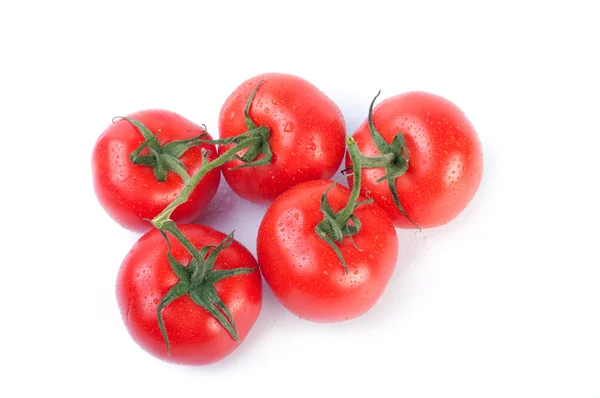 Close up of ripe tomatoes — Stock Photo, Image