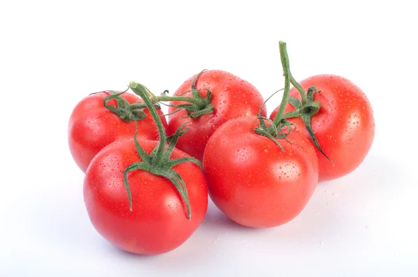 잘 익은 토마토의 클로즈업 — 스톡 사진