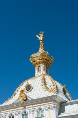 büyük peterhof Sarayı