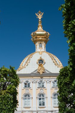 büyük peterhof Sarayı