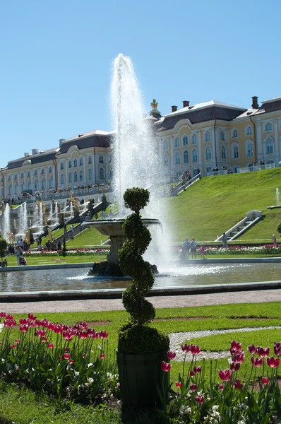Grand peterhof Sarayı ve büyük çağlayan — Stok fotoğraf
