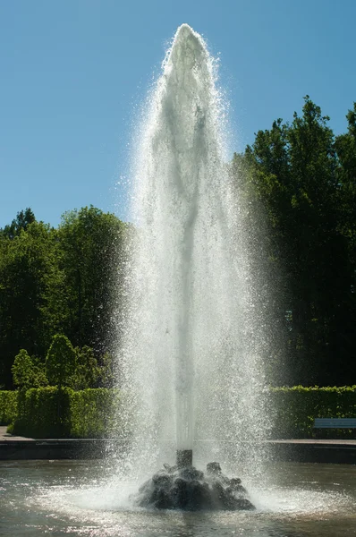 stock image Fountain in Peterhof