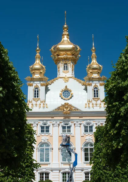 Великий Петергофі палац Стокова Картинка