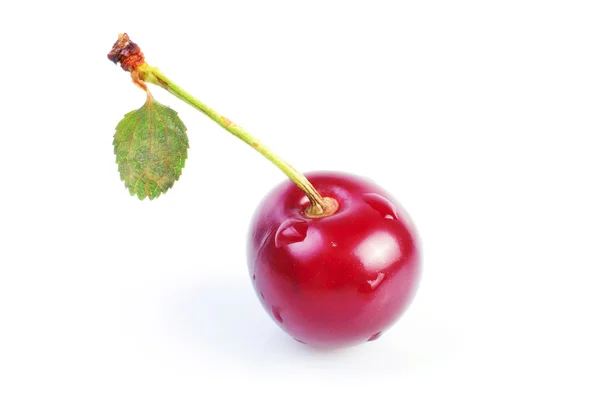 Ripe cherry red — Stock Photo, Image
